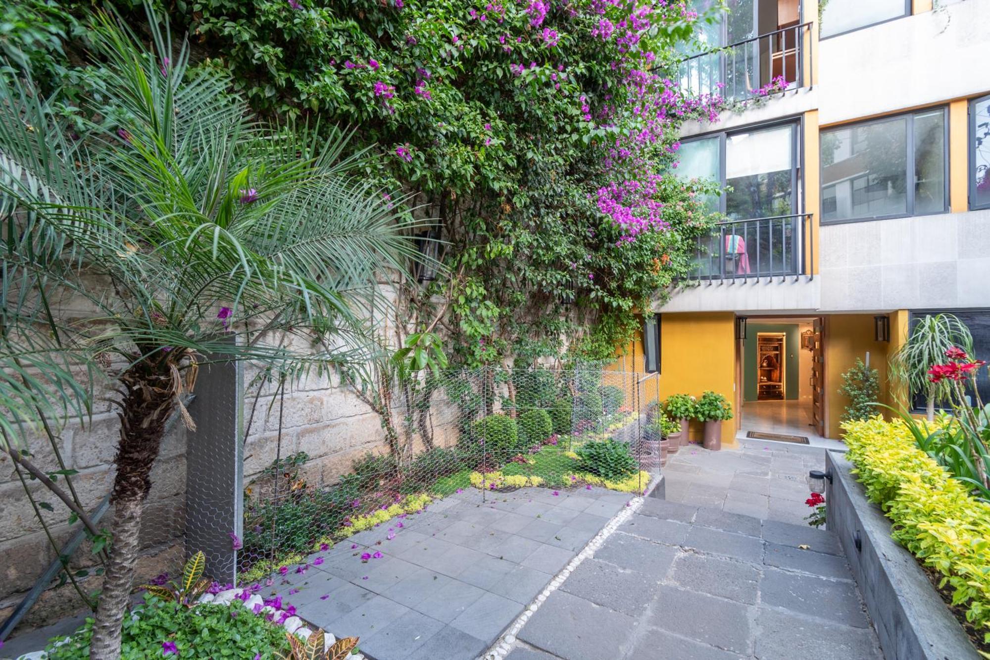 Terraza & Loft San Angel Apartment Kota Meksiko Bagian luar foto