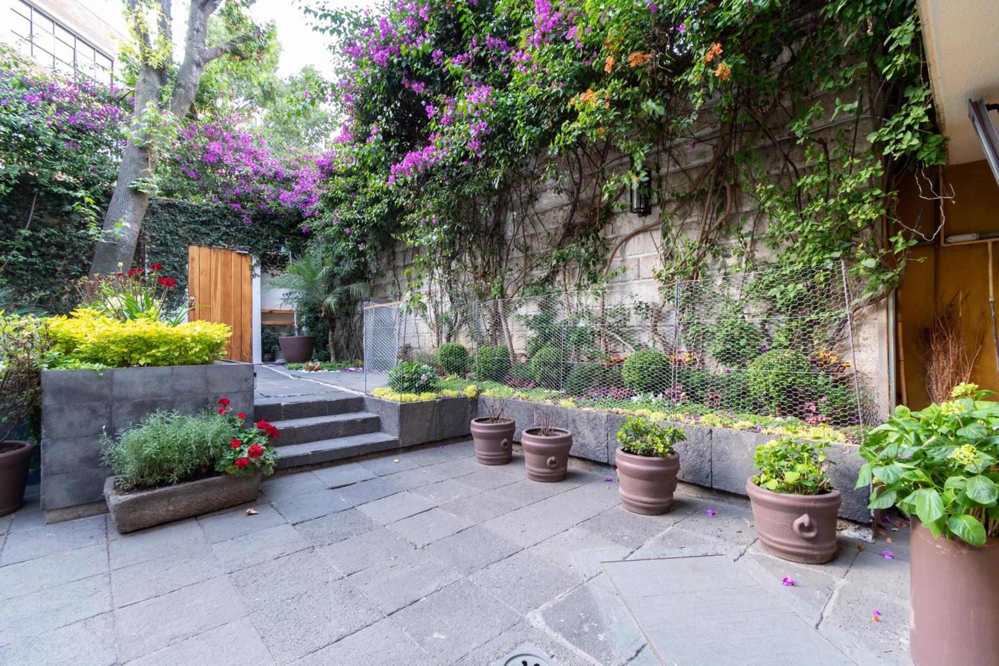 Terraza & Loft San Angel Apartment Kota Meksiko Bagian luar foto