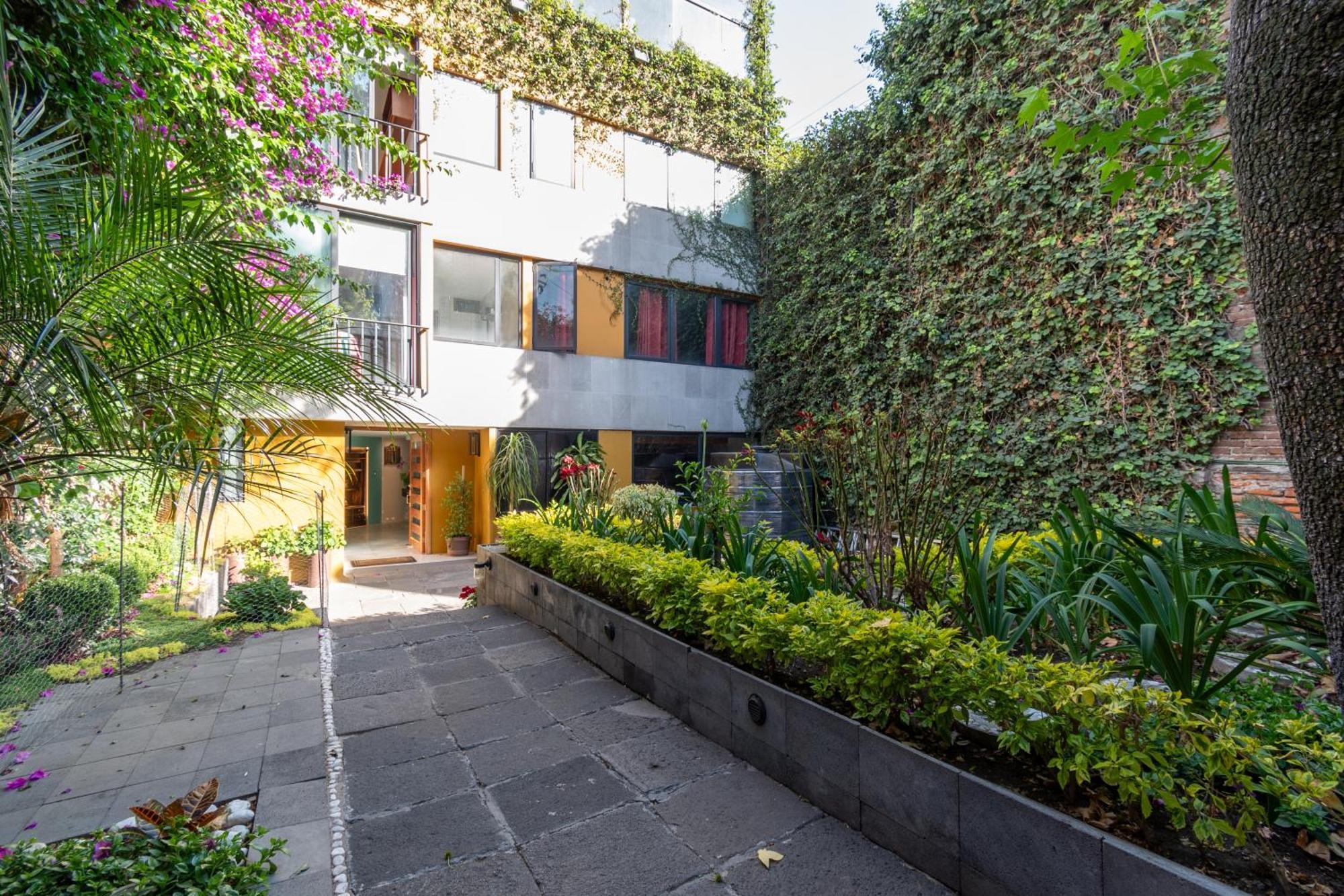 Terraza & Loft San Angel Apartment Kota Meksiko Bagian luar foto
