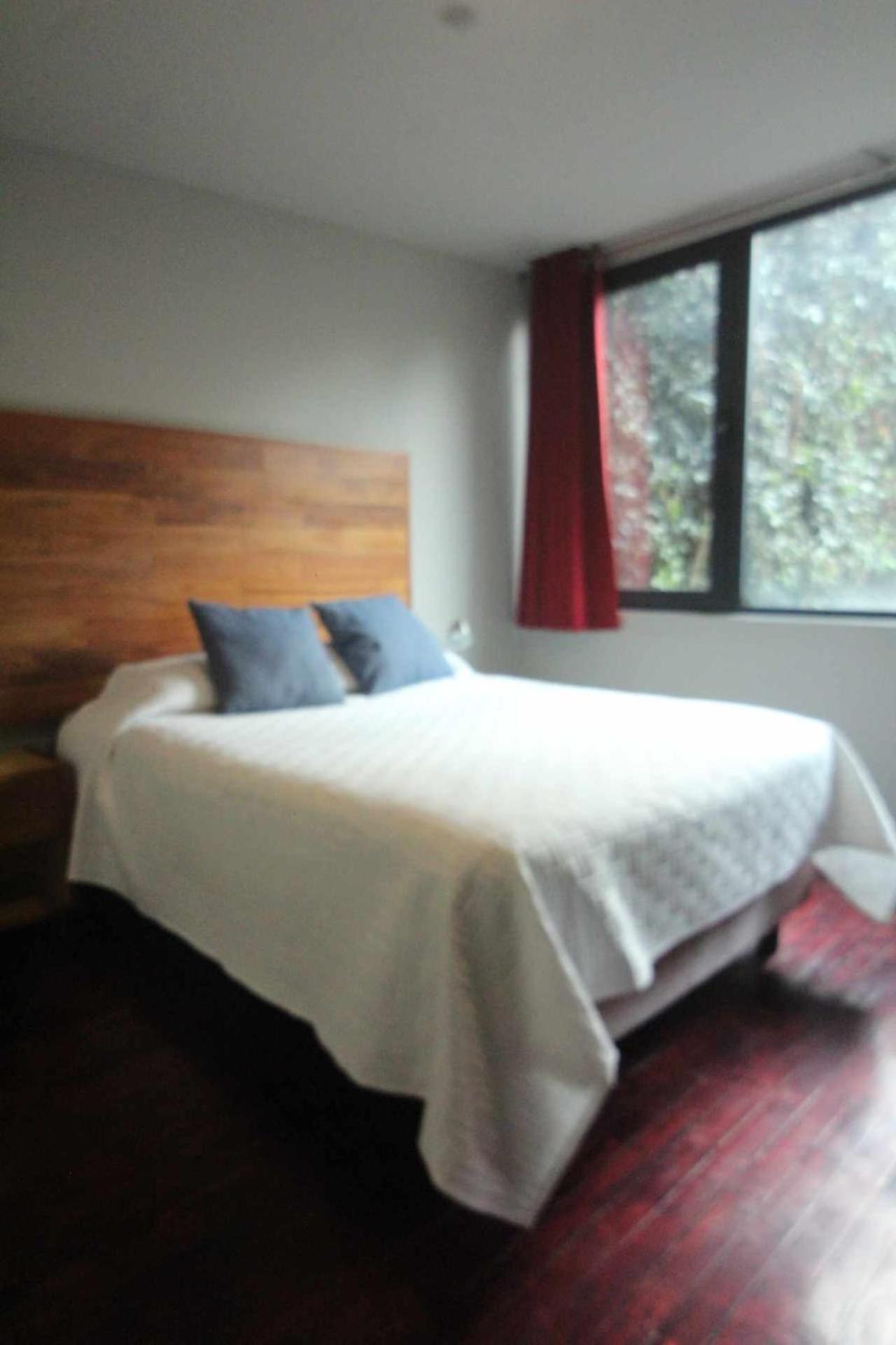 Terraza & Loft San Angel Apartment Kota Meksiko Bagian luar foto